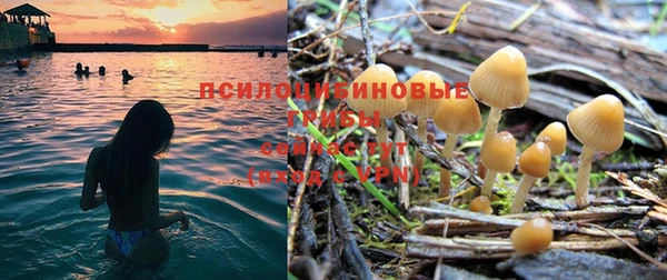 экстази Белокуриха