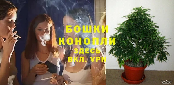 экстази Белокуриха