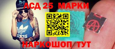 прущие грибы Можайск