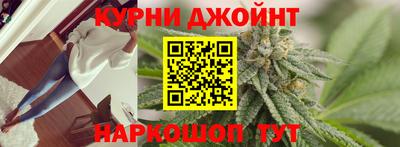 прущие грибы Можайск
