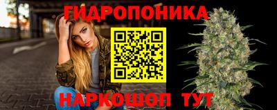 прущие грибы Можайск